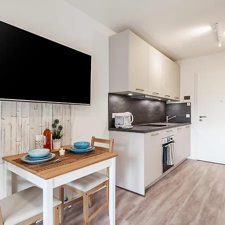 Seagull * Neustadt in Holstein