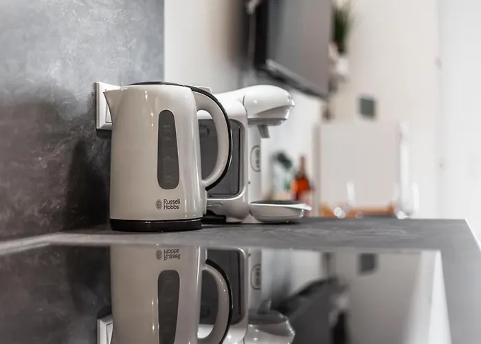 Seagull נוישטאדט אין הולשטיין